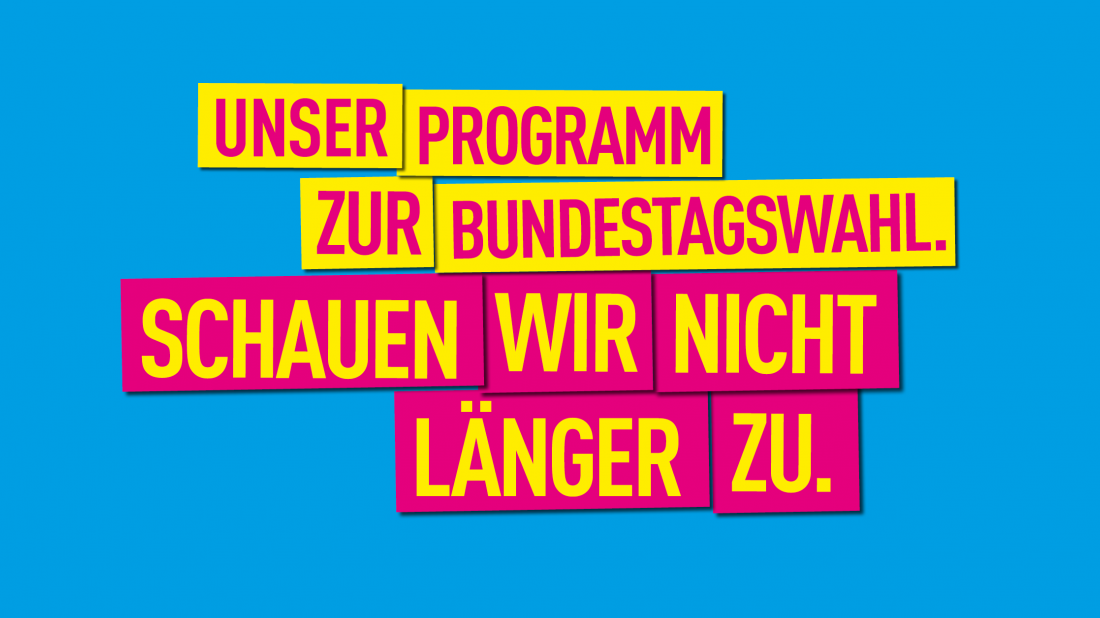 Programm zur Bundestagswahl 2017