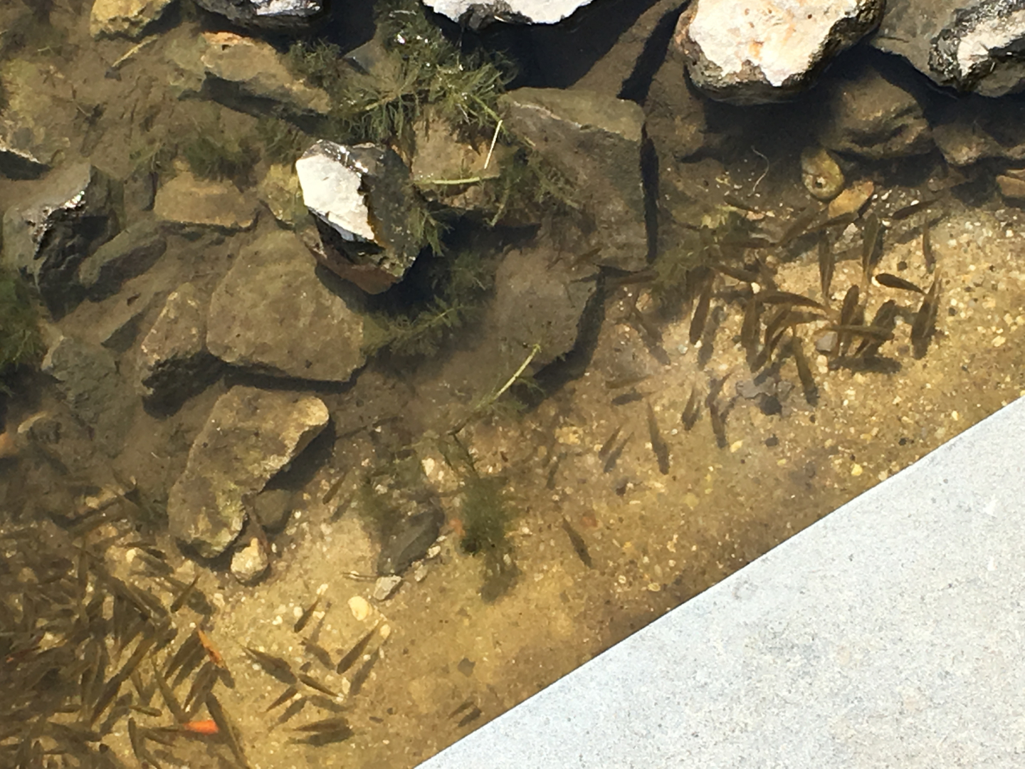 tierrettung_annapark-1