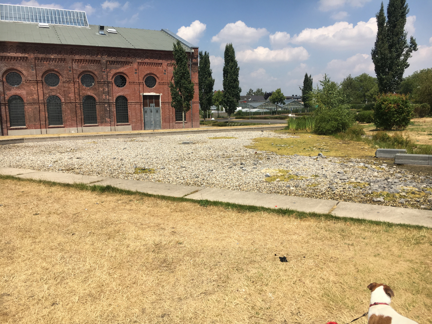 tierrettung_annapark-3